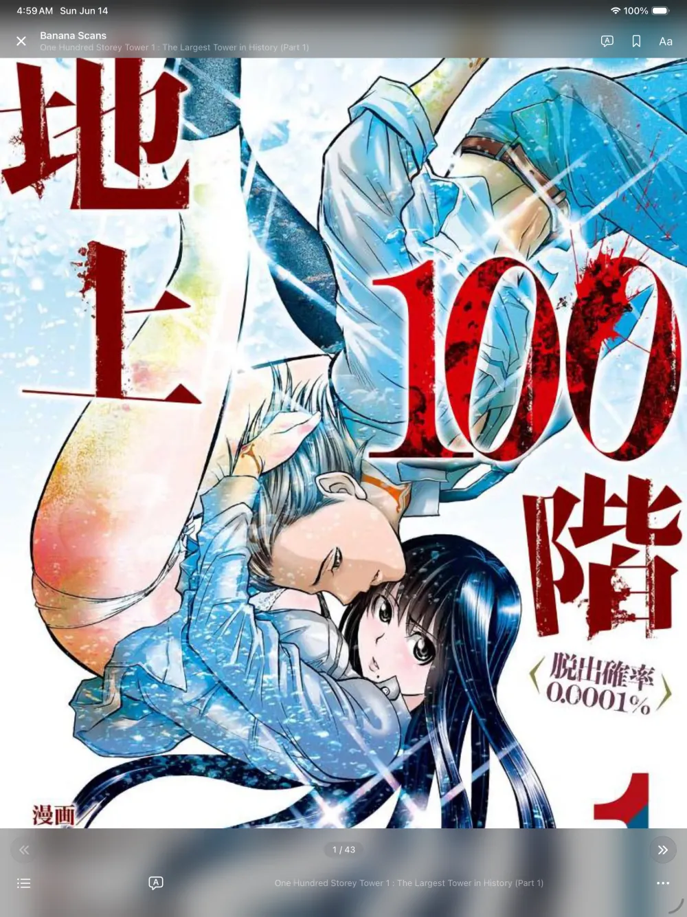 Nyora manga reader on iPad — the reader view